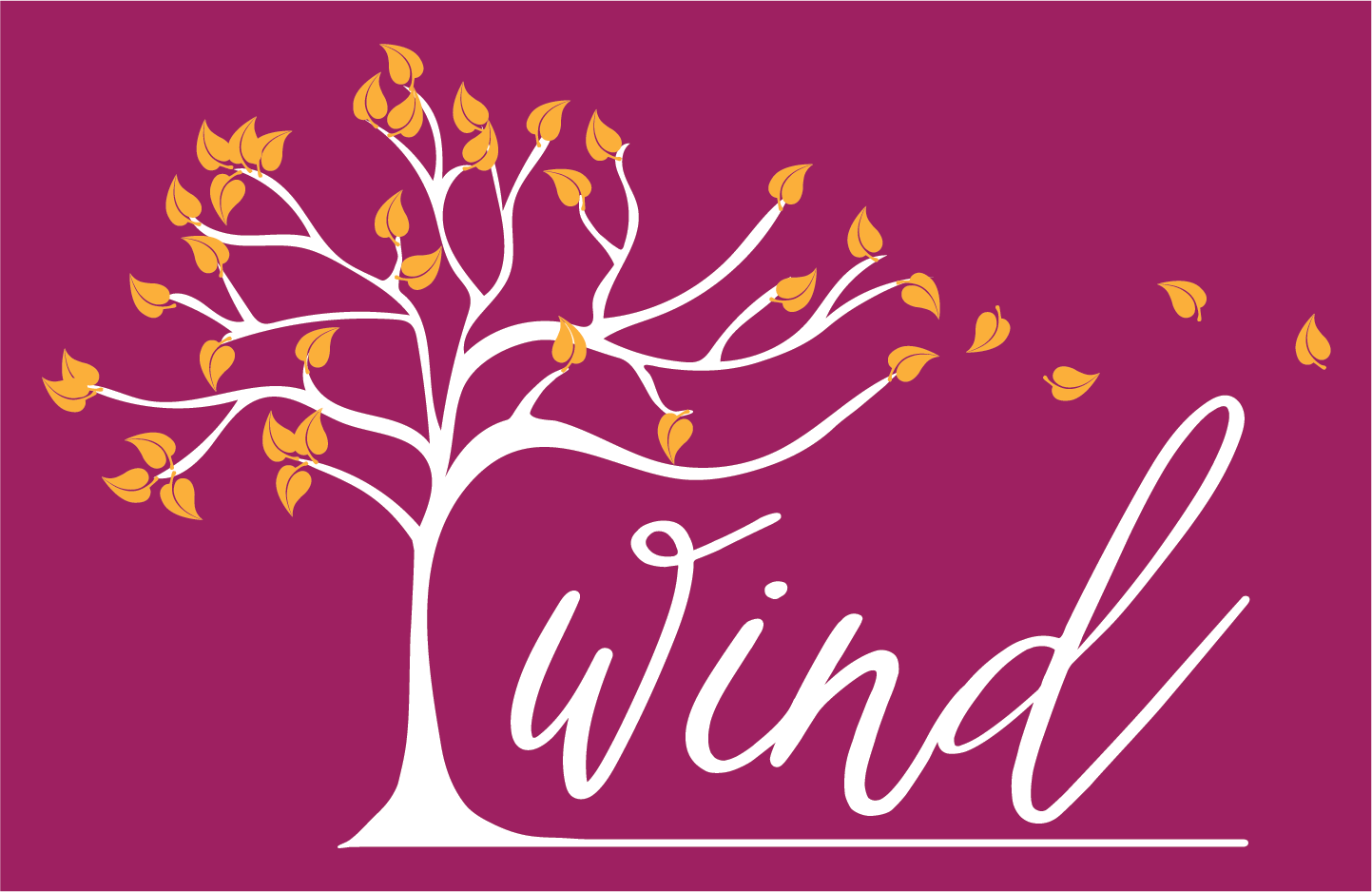 WINDprogram